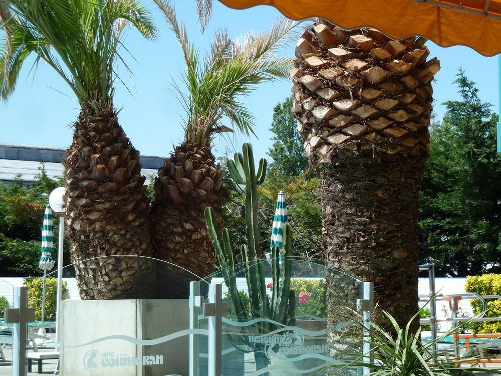 Hotel Cormoran Ричоне Екстериор снимка